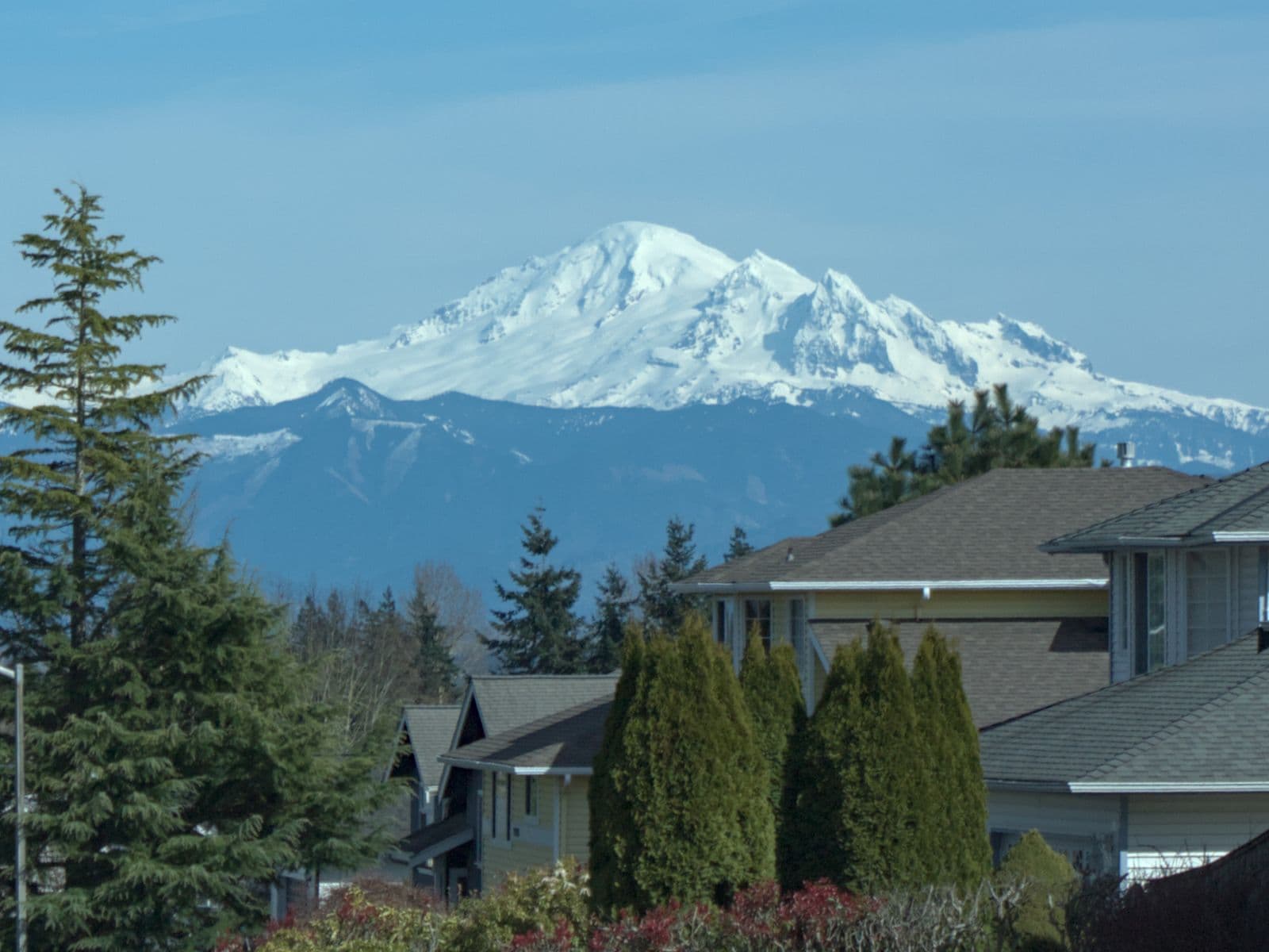 Snow-covered Mount Baker rising above the rooftops, evergreens and hedges of a Ferndale neighborhood on a clear day