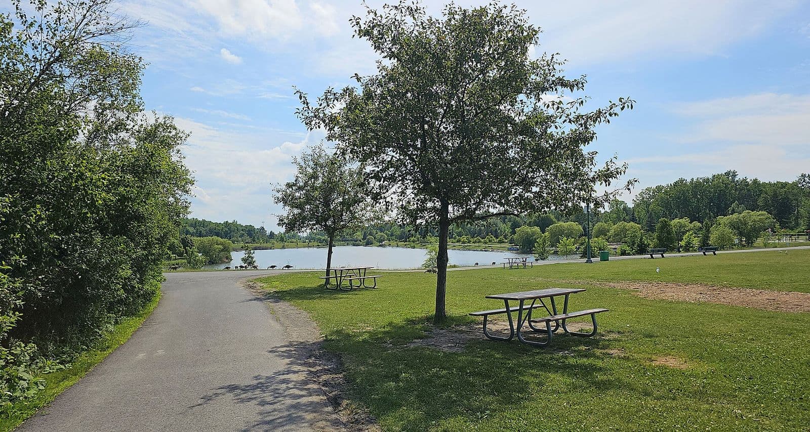 Un sentier asphalté passe près de tables de pique-nique et de jeunes arbres sur une pelouse verte, vers le bassin du parc de la Cité à Saint-Hubert, par une journée d’été ensoleillée