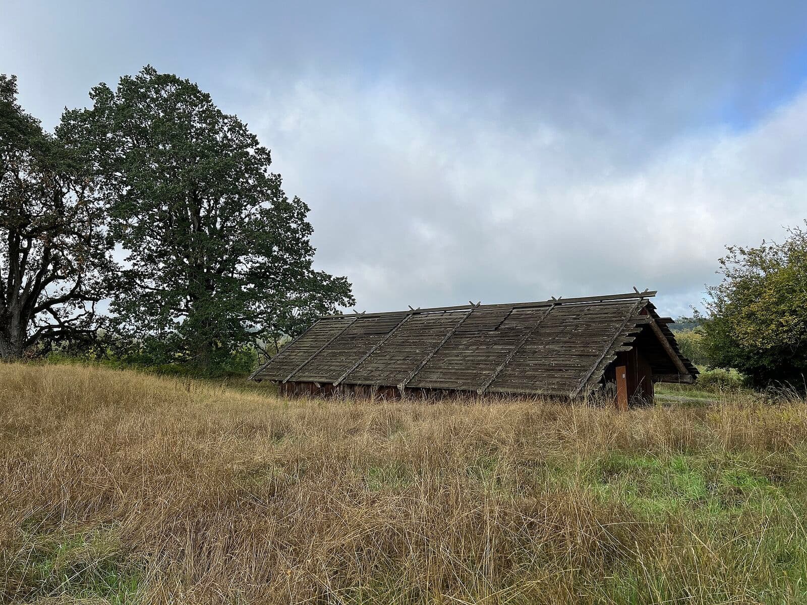 The cedar Cathlapotle Plankhouse among tall golden grass and a spreading oak on a misty fall morning at Ridgefield National Wildlife Refuge