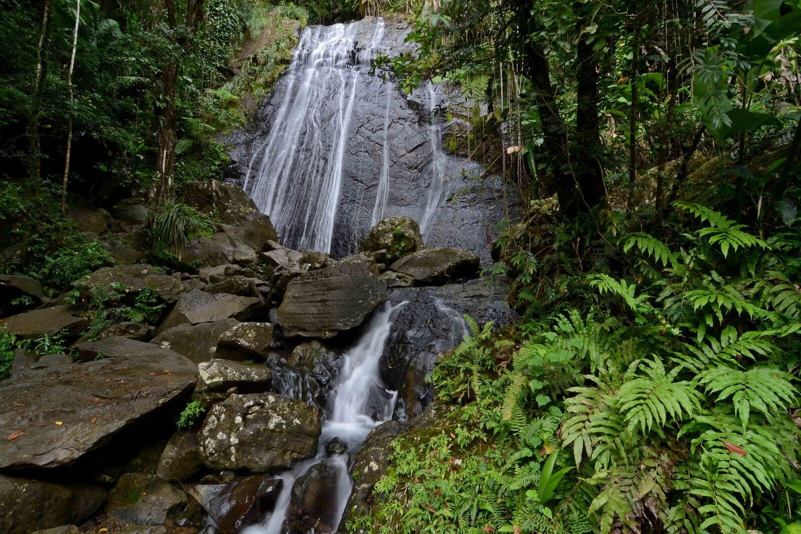 La Coca Falls spilling over dark rock into a boulder stream, framed by ferns in El Yunque National Forest