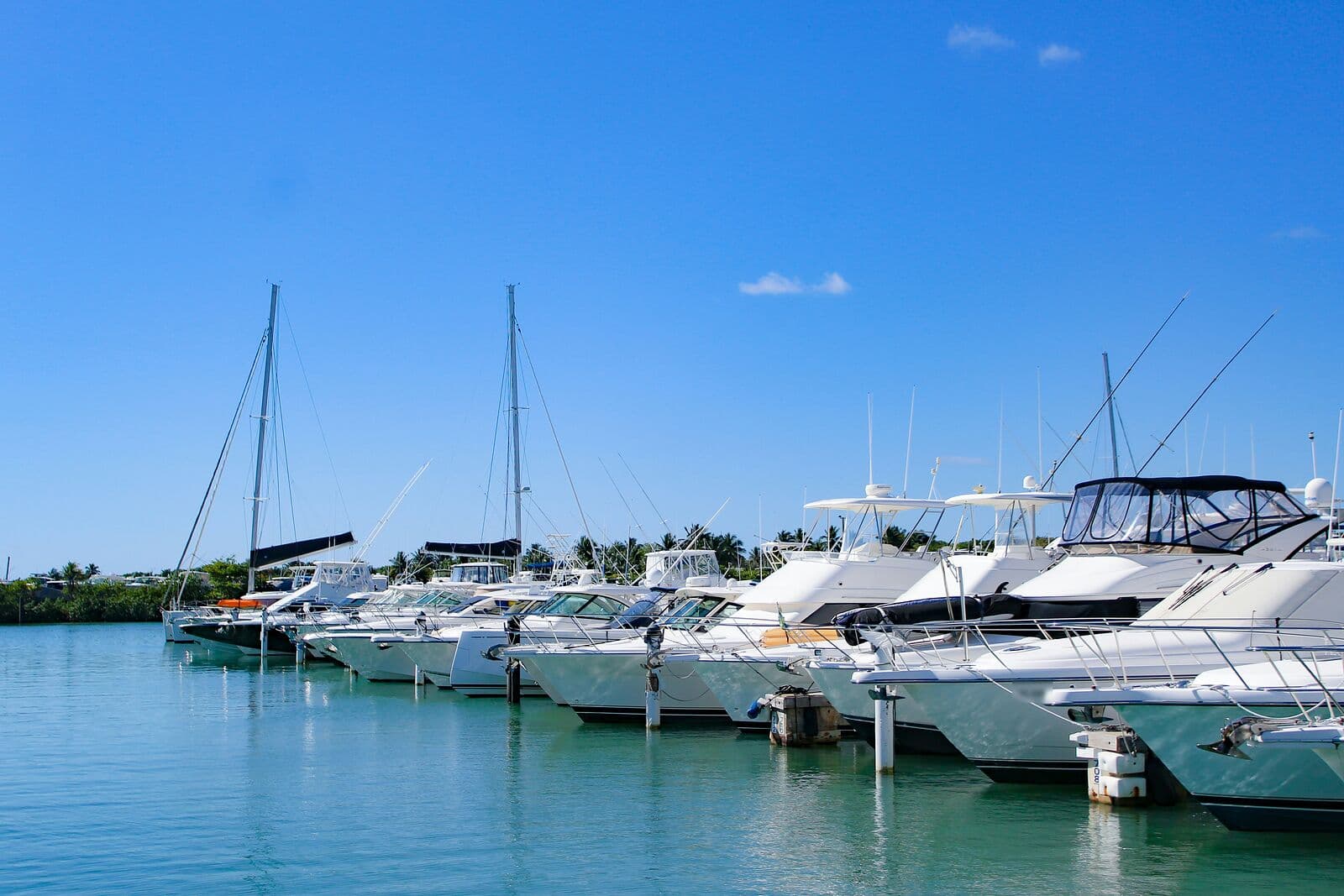 Rows of white yachts and sailboats tied up at Puerto del Rey marina in Fajardo under a clear blue sky