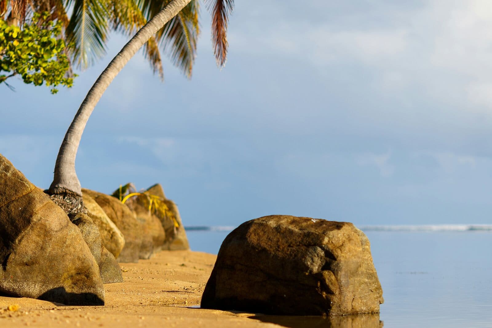 A leaning coconut palm and smooth boulders on golden sand beside glassy water on the Río Grande shore