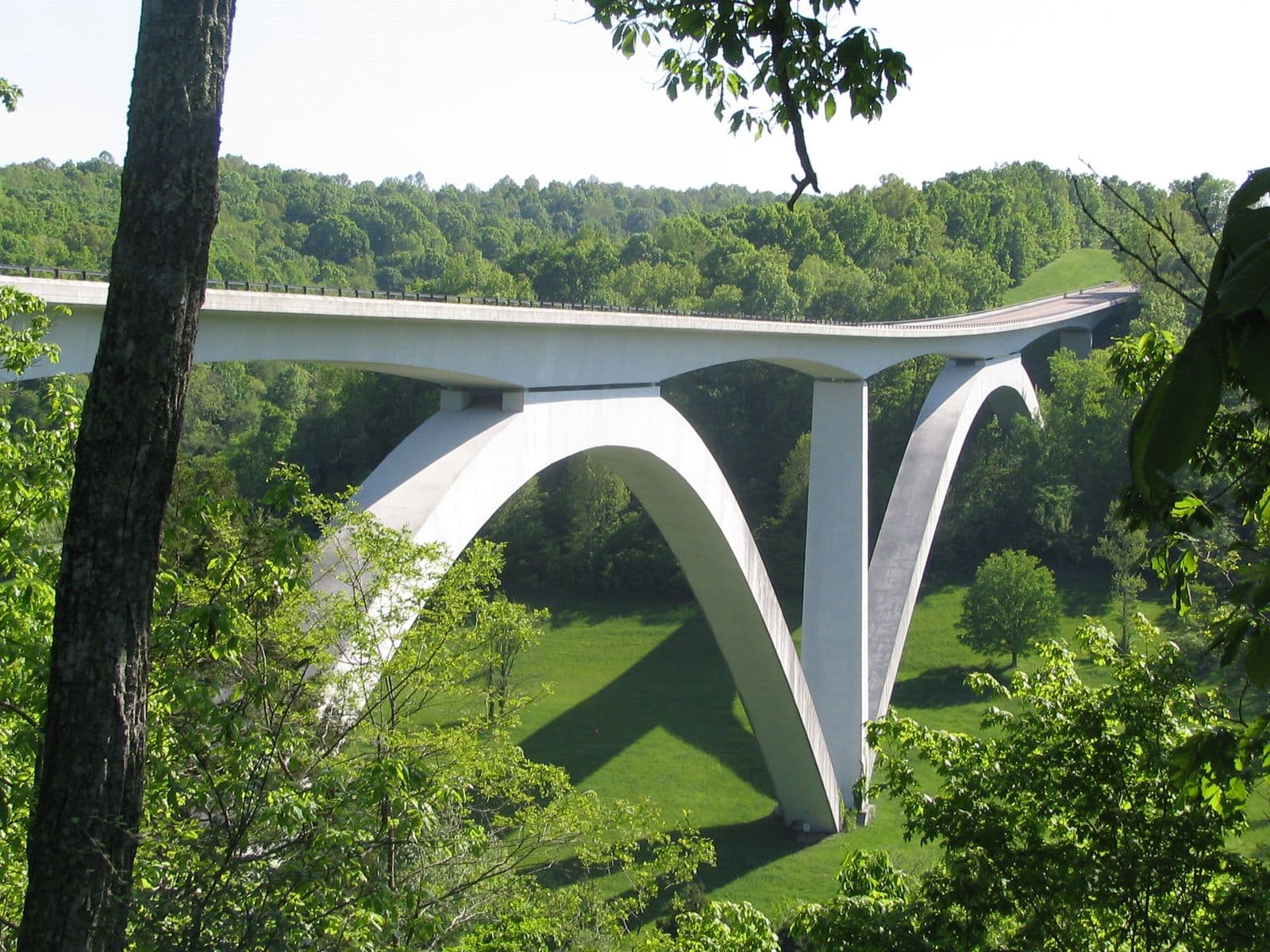 The white concrete Double Arch Bridge of the Natchez Trace Parkway curving over a green, wooded valley west of Franklin