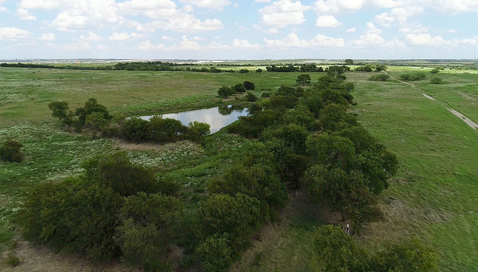 Aerial view of open green prairie in Frisco with a line of trees, a small pond and white clouds over a wide flat horizon