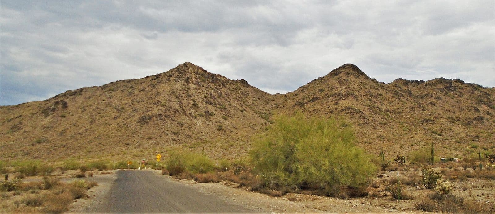 The San Tan Mountains under a cloudy sky seen from a desert road in the hills of Queen Creek, with saguaros and palo verde in the foreground
