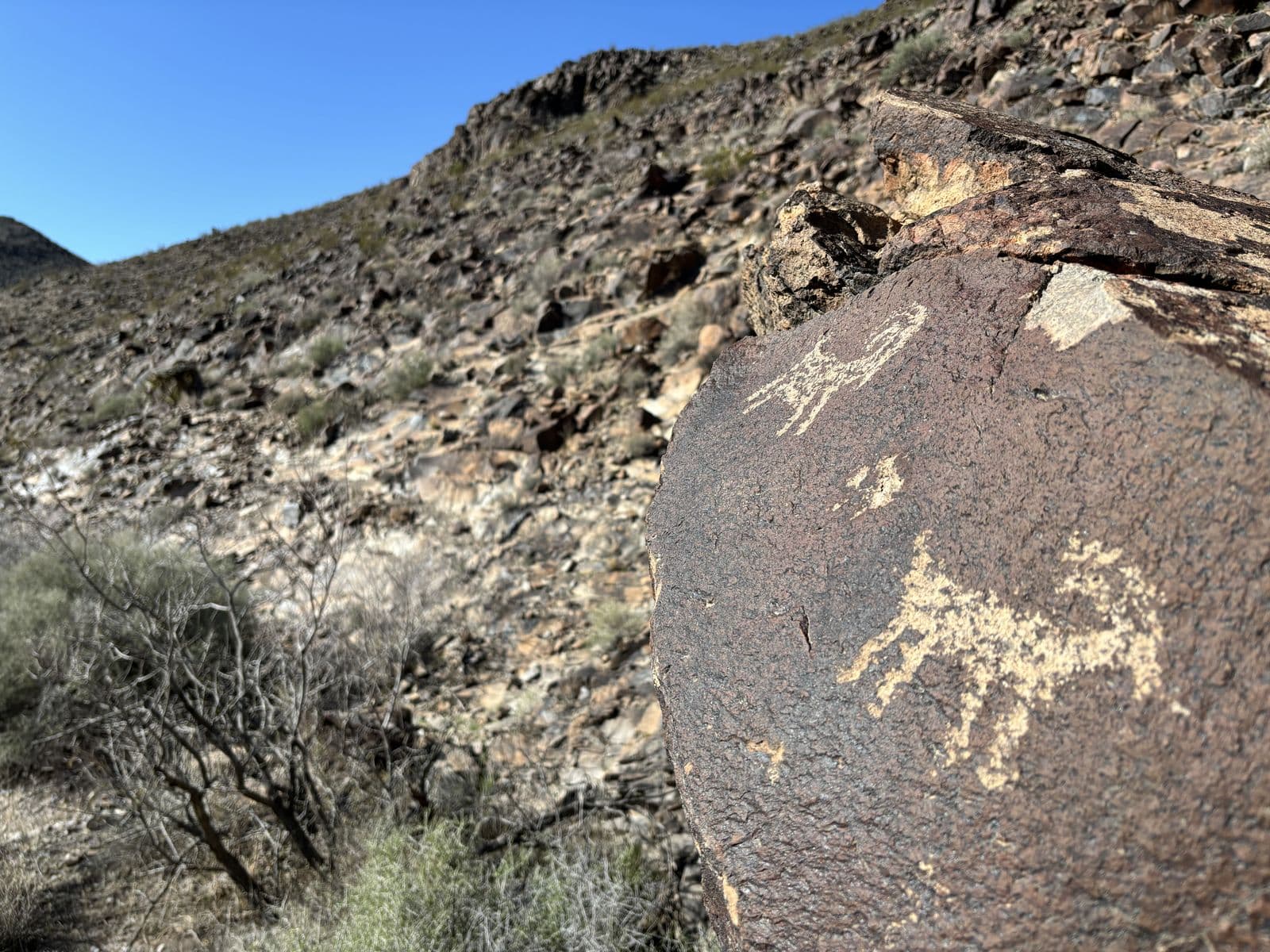 A dark desert-varnish boulder carved with light bighorn-sheep petroglyphs, with the rocky slope of Sloan Canyon rising behind under a clear blue sky