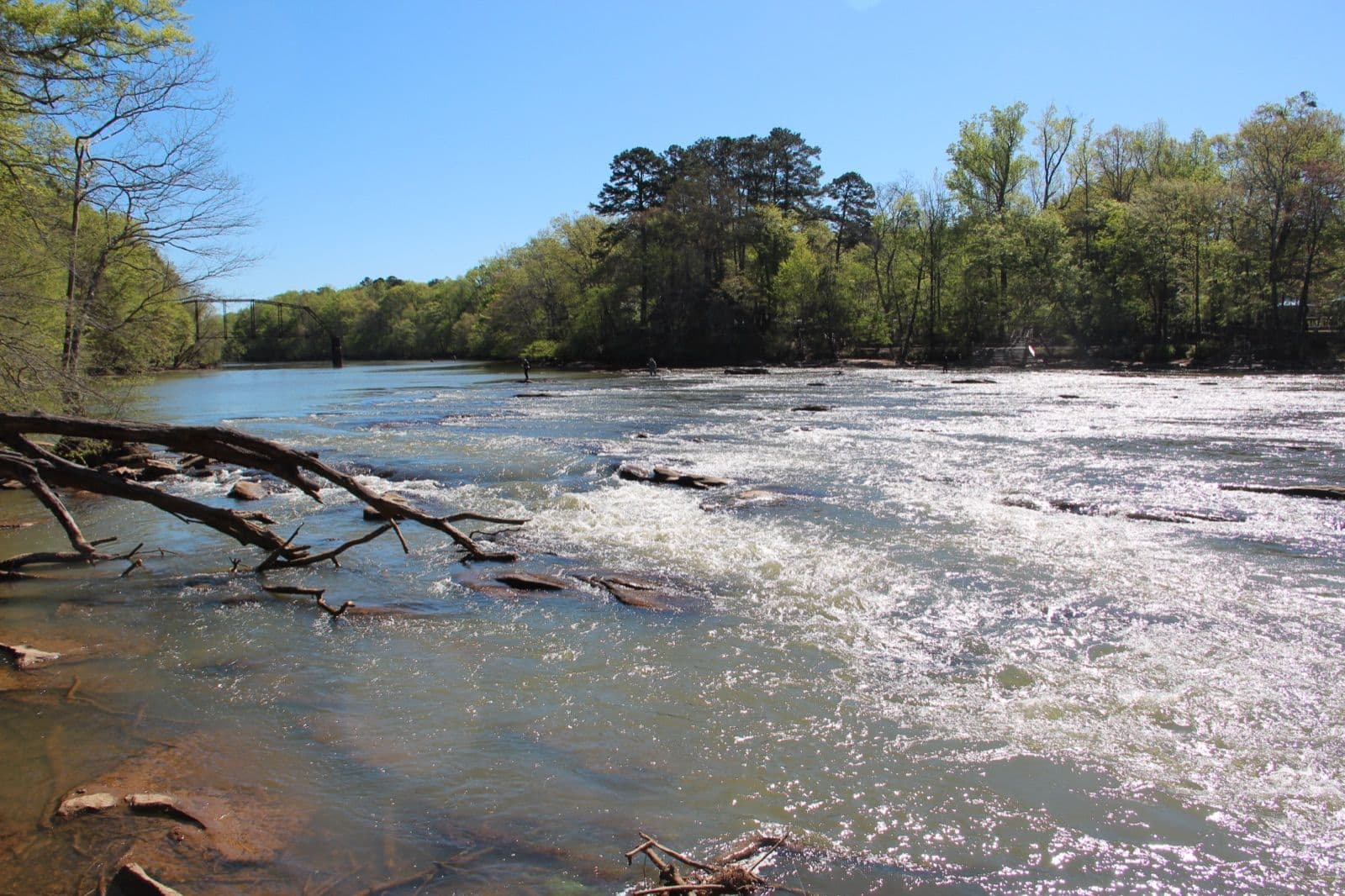Sunlit shoals on the Chattahoochee River at the Jones Bridge unit in Johns Creek, with the old Jones Bridge truss in the distance