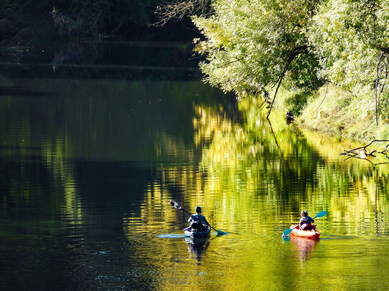 Two kayakers paddling away on the still Tualatin River, the water reflecting sunlit yellow-green trees on the bank