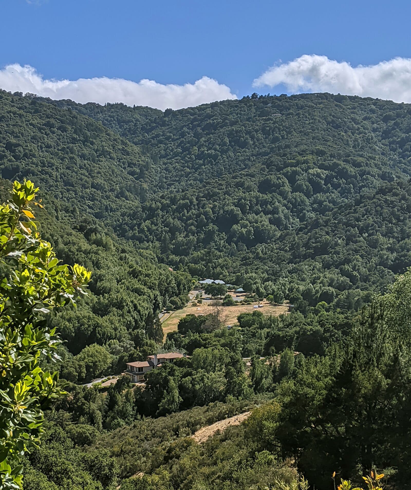 Looking down into the green Hidden Villa valley in Los Altos Hills, with forested Santa Cruz Mountains ridges and white clouds behind