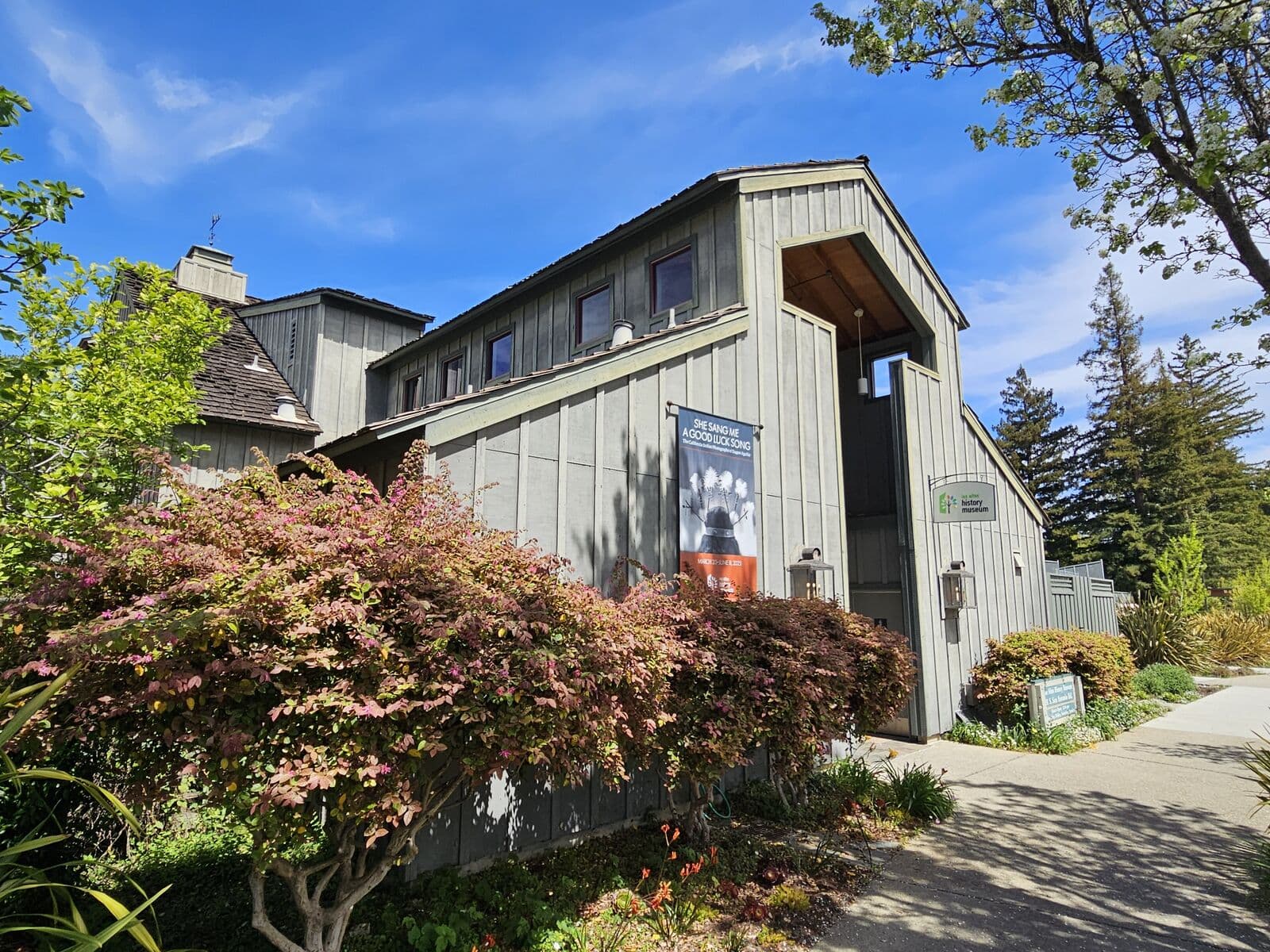 The gray board-and-batten Los Altos History Museum behind flowering shrubs and tall redwoods on a bright spring day