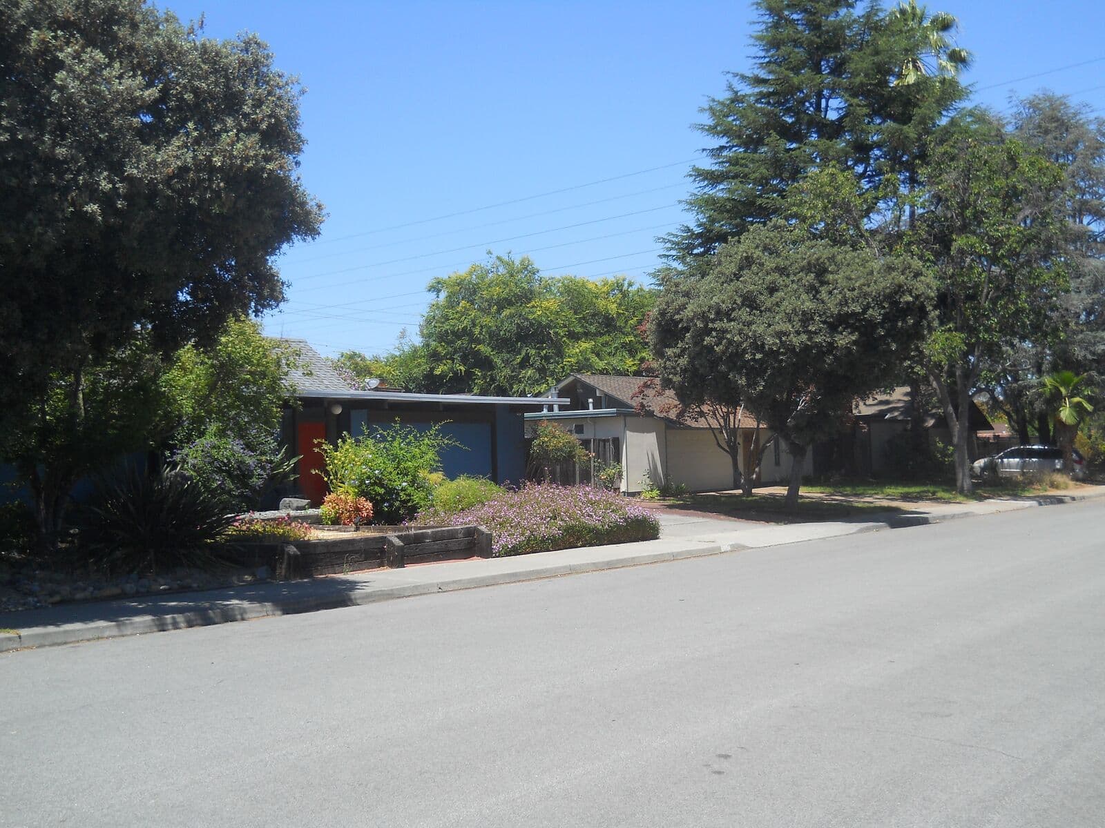 A blue 1967 Eichler house with an orange front door and a drought-tolerant garden beside another mid-century house on a sunny Sunnyvale street