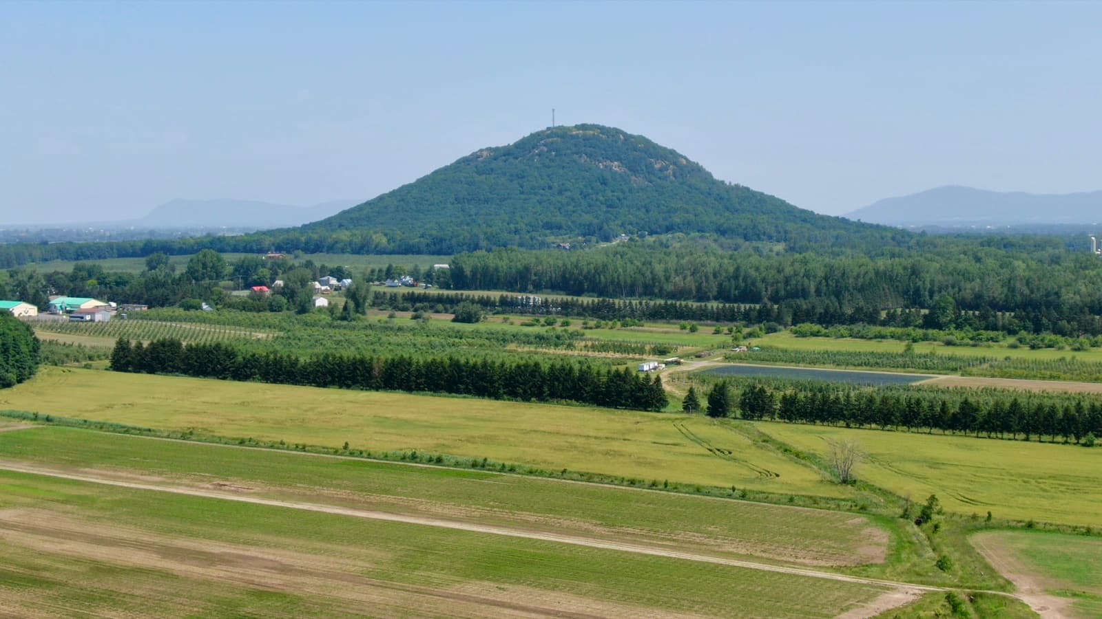 Mont Saint-Grégoire rising above farm fields, orchards and rows of windbreak trees in the Richelieu Valley on a clear summer day