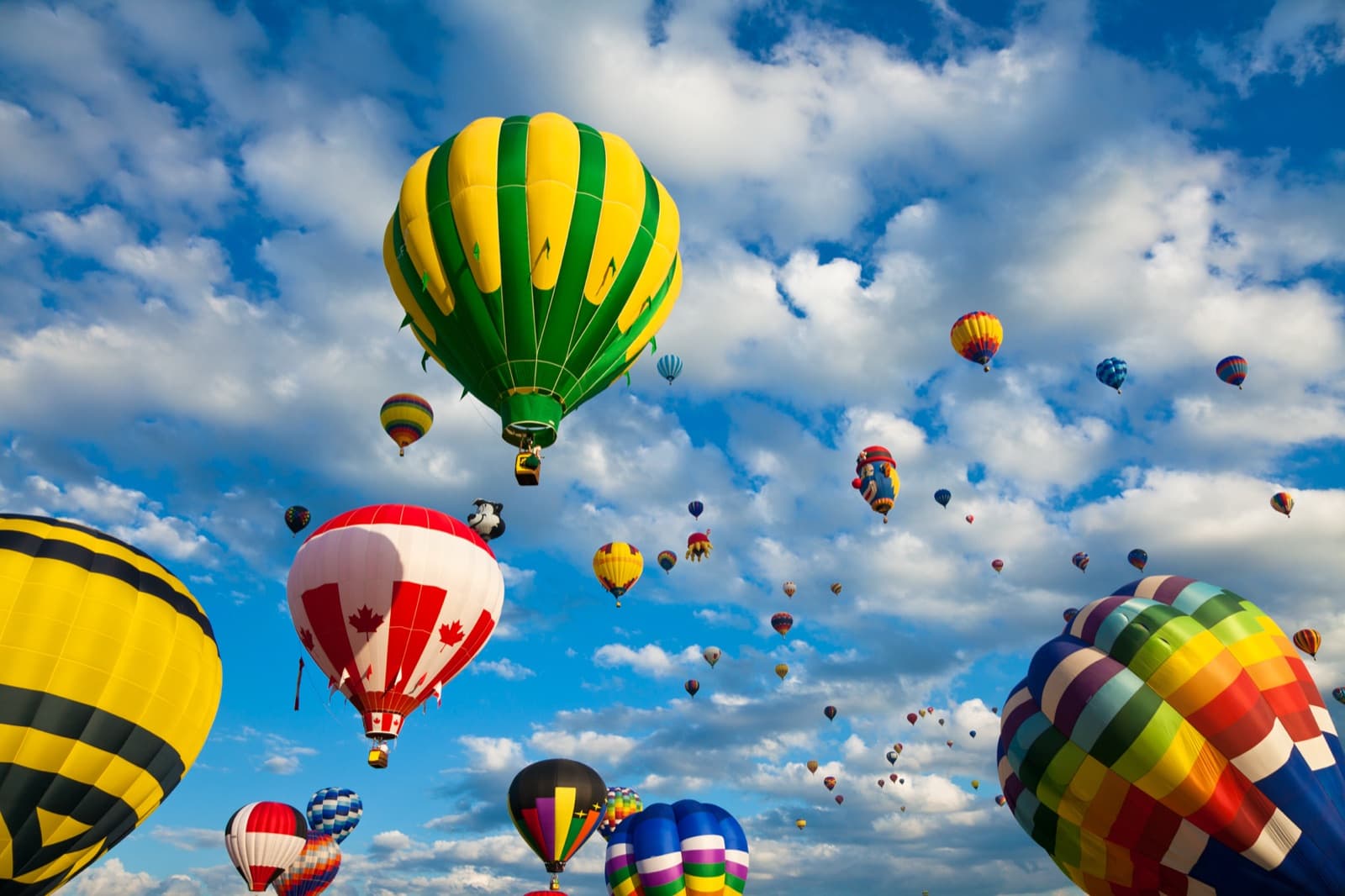Dozens of colourful hot-air balloons, one in the red and white of the Canadian flag, rising into a blue sky with white clouds at the Saint-Jean-sur-Richelieu festival