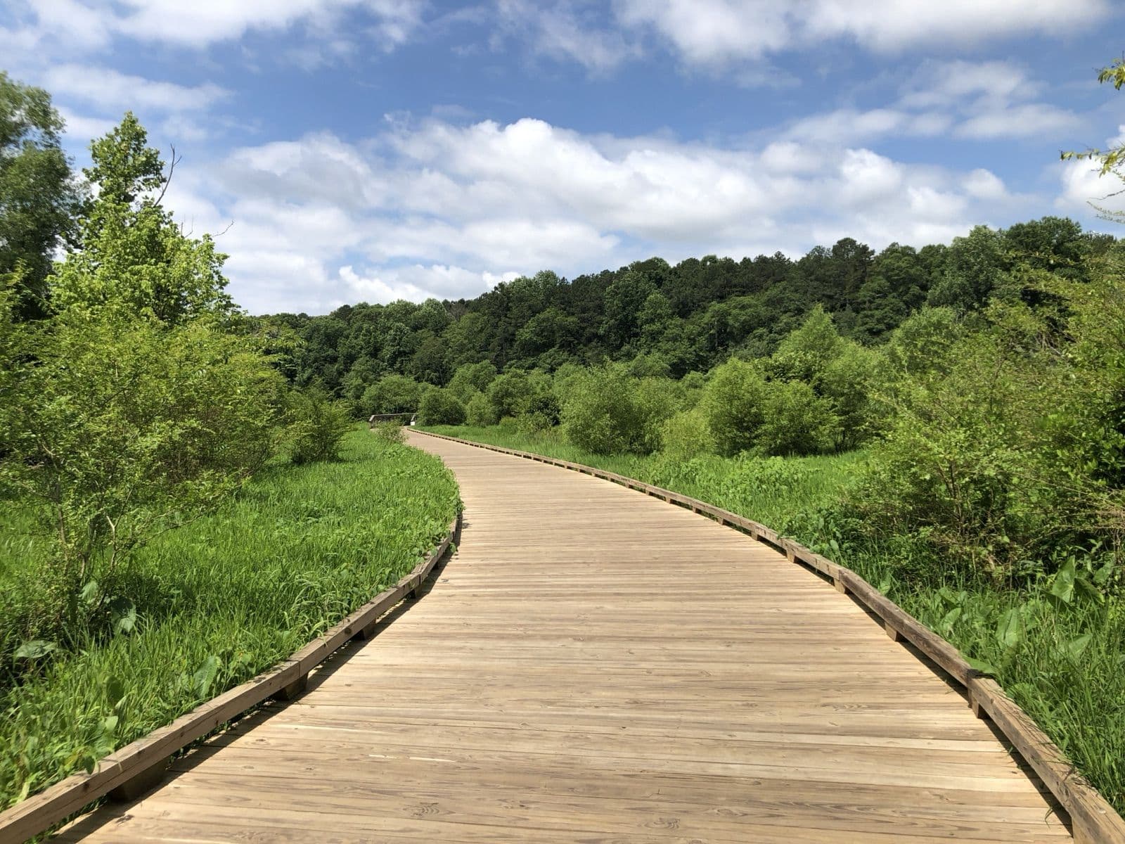 A curving wooden boardwalk through a green wetland meadow toward wooded hills at George Pierce Park in Suwanee
