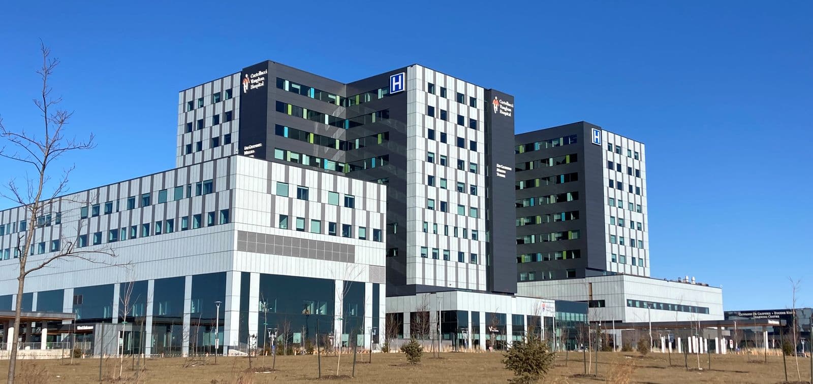 The grey-and-white towers of Cortellucci Vaughan Hospital under a clear winter sky, with young trees planted on the lawn in front